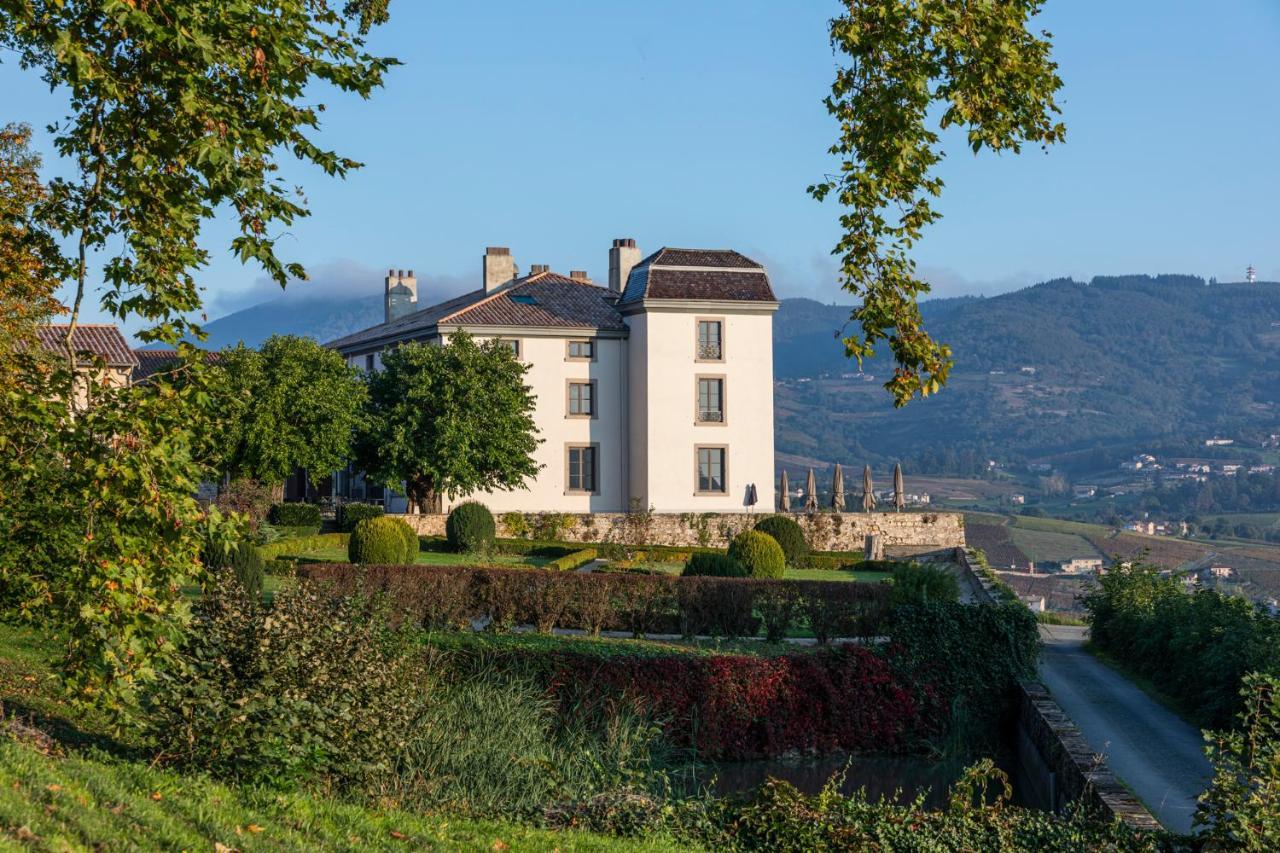 Chateau Du Souzy Quincié-en-Beaujolais 外观 照片